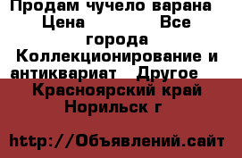 Продам чучело варана › Цена ­ 15 000 - Все города Коллекционирование и антиквариат » Другое   . Красноярский край,Норильск г.